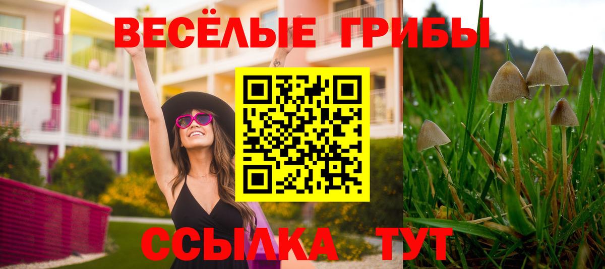 Галлюциногенные грибы GOLDEN TEACHER Лесозаводск