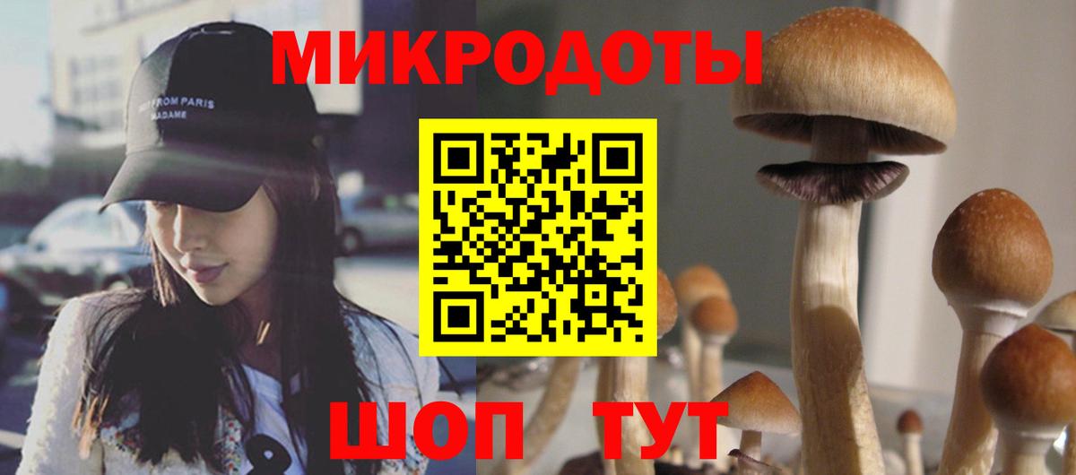 Галлюциногенные грибы ЛСД  Вход с VPN  Лесозаводск 